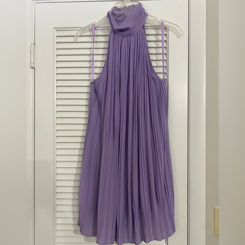 Naked Zebra Lavender Dress